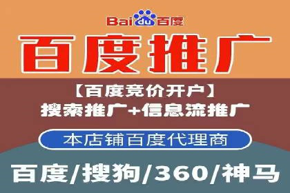 成功运用SEM技术提升网站流量的案例研究